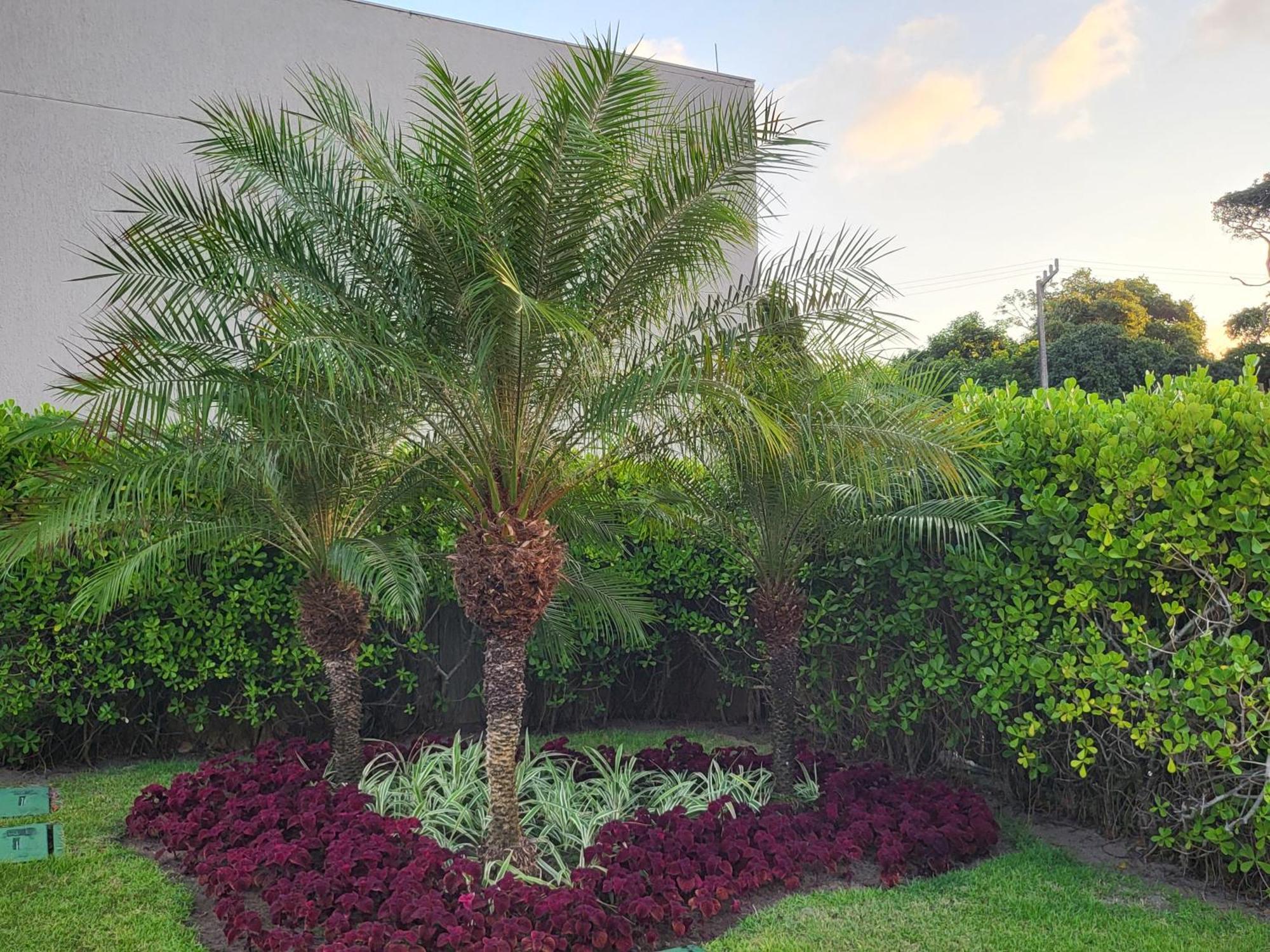 Boutique Ecolife Apartment ปอร์โต จิ กาลินญาส ภายนอก รูปภาพ