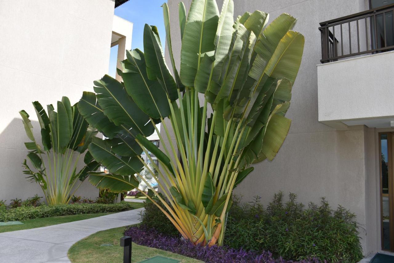Boutique Ecolife Apartment ปอร์โต จิ กาลินญาส ภายนอก รูปภาพ